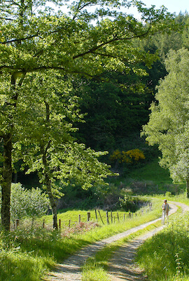 randonnées randonnées