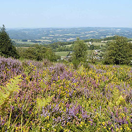 haute vienne paysage