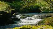 The many streams in Haute-Vienne