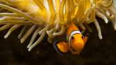 Limousin aquarium in Limoges