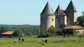 Brie château in the Limousin  countryside ( automaton museum,  B&B in the château)