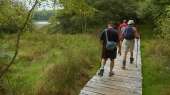Hike to Lake St. Pardoux Hiker on a wooden footbridge at the lake